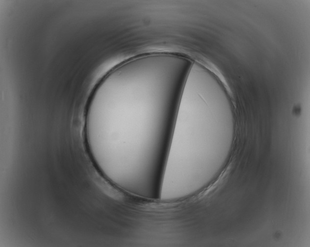 X0000102221179200807250739