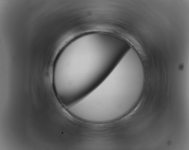 X0000102221180200807250739