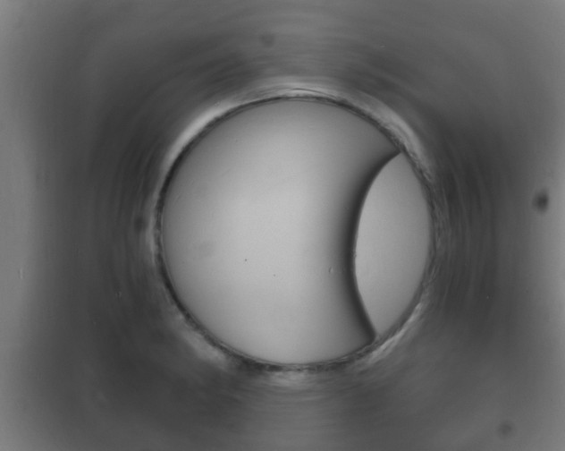 X0000102221182200807250739