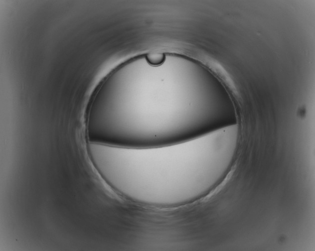 X0000102221184200807250739