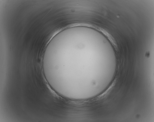 X0000102221185200807250739
