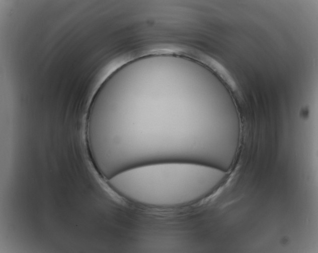 X0000102221186200807250739