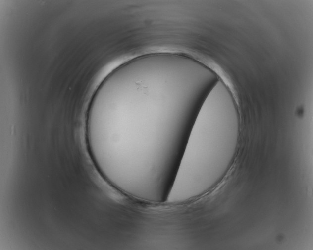 X0000102221187200807250739