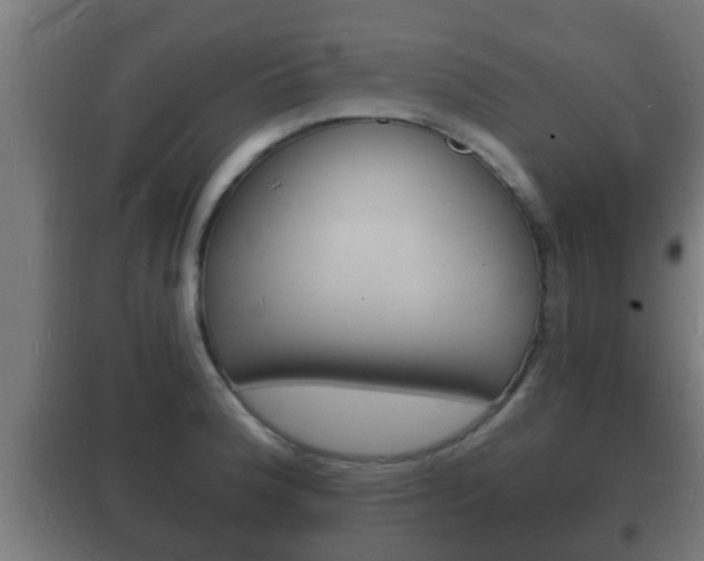 X0000102221188200807250739