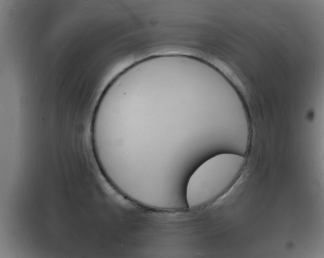 X0000102221189200807250739