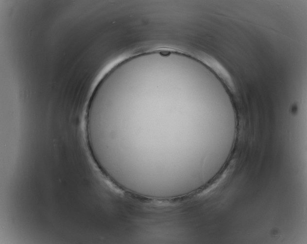 X0000102221190200807250739
