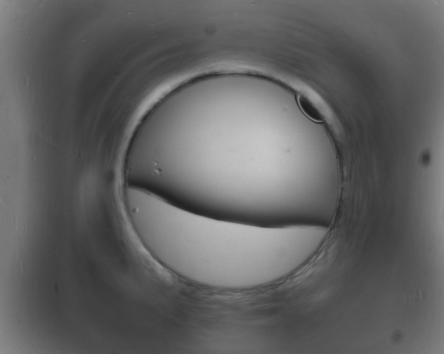 X0000102221191200807250739