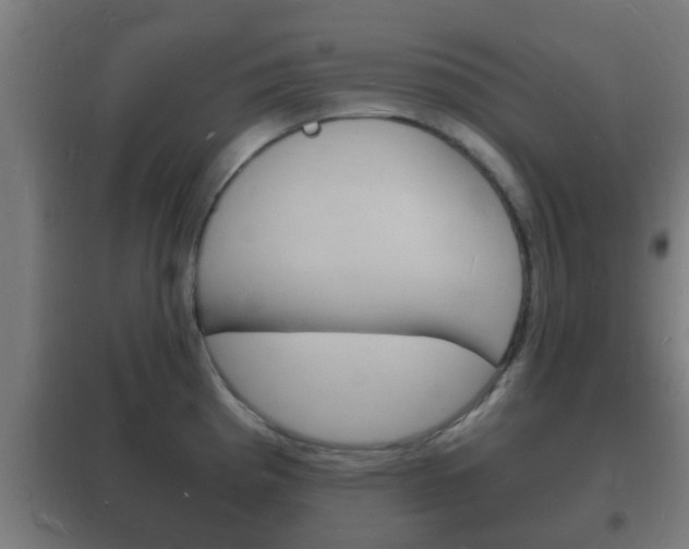 X0000102221193200807250739