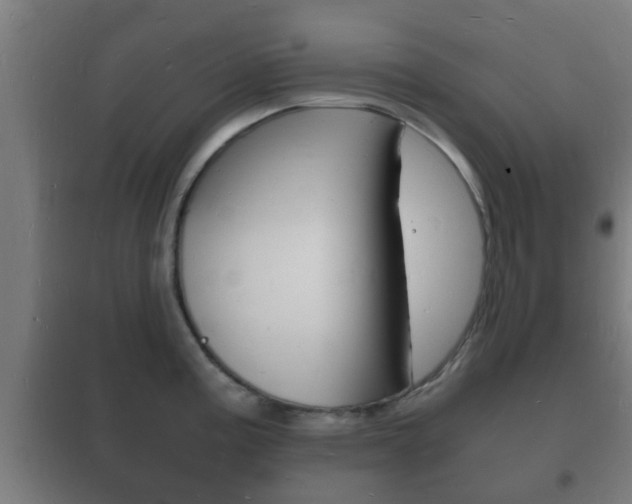 X0000102221195200807250739