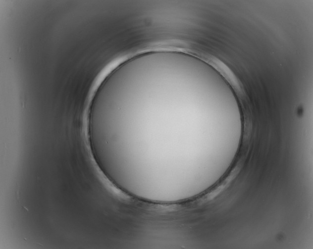 X0000102221196200807250739