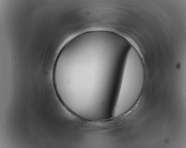 X0000102221197200807250739