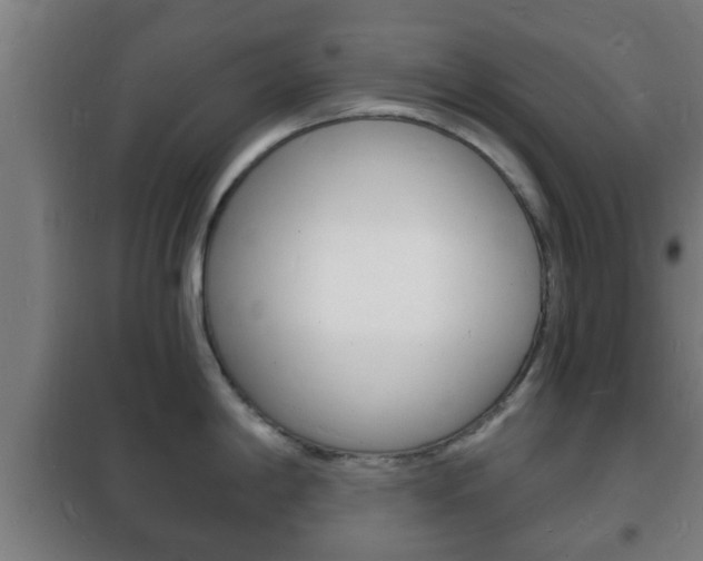 X0000102221198200807250738