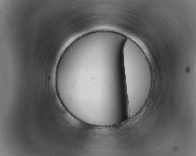 X0000102221199200807250738
