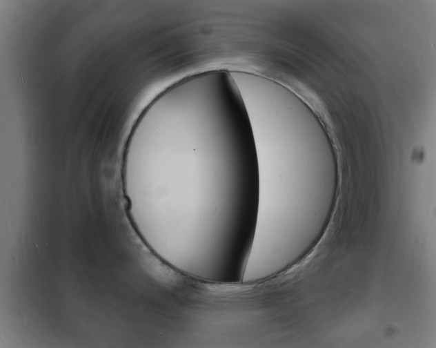 X0000102221200200807250738
