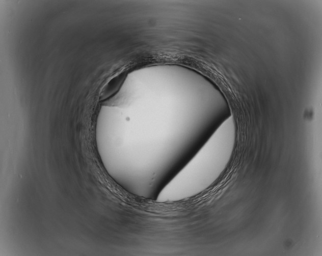 X0000102221201200807250738