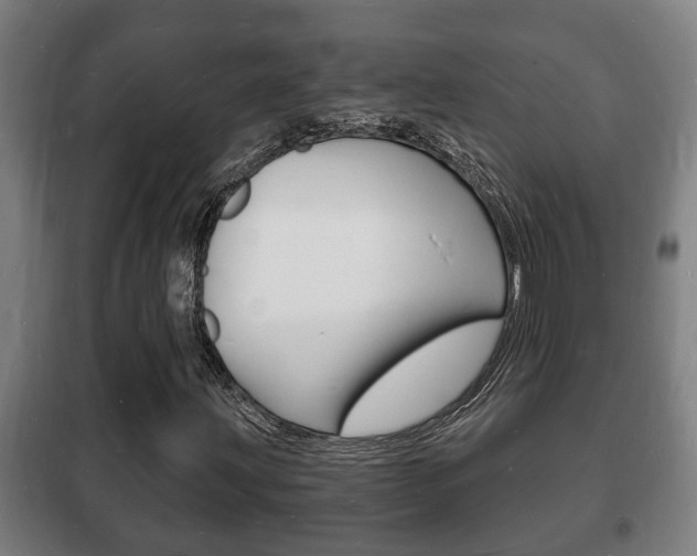 X0000102221203200807250738