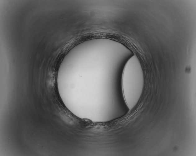 X0000102221204200807250738