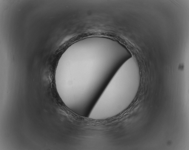 X0000102221206200807250738