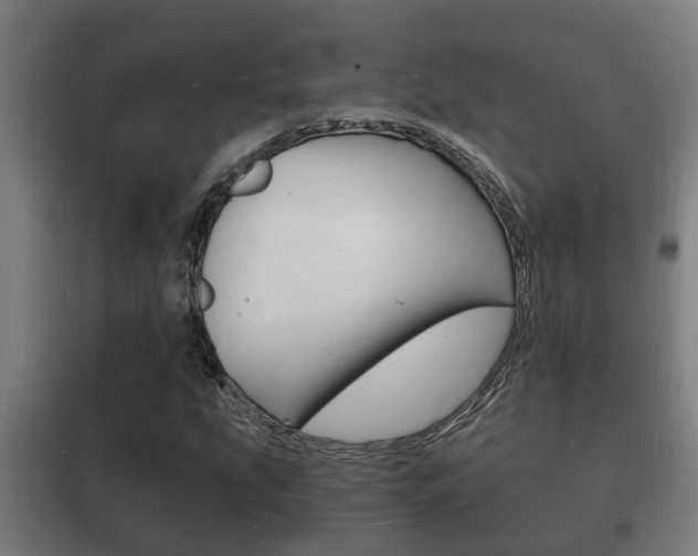 X0000102221207200807250738