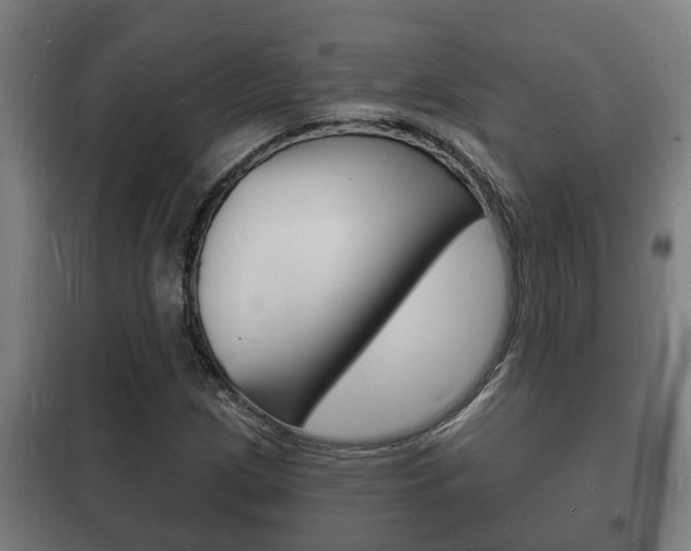 X0000102221209200807250738