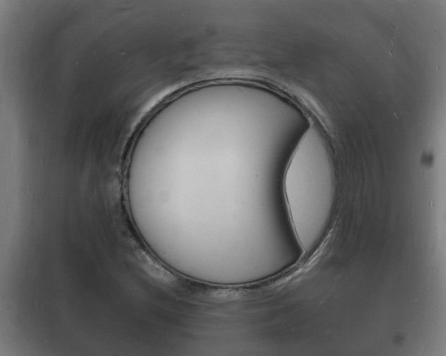 X0000102221212200807250738