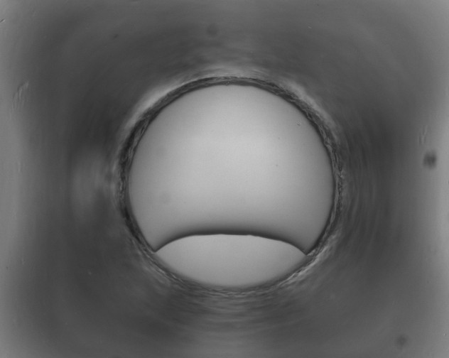 X0000102221215200807250738