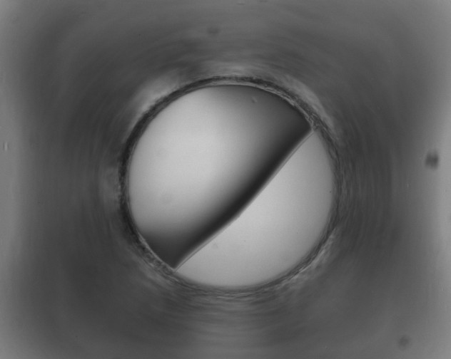 X0000102221218200807250738