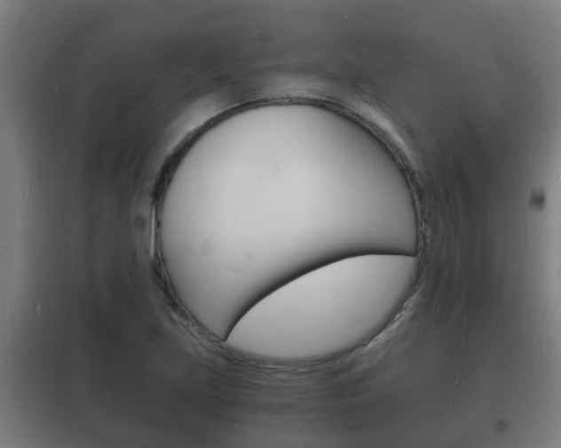 X0000102221219200807250738