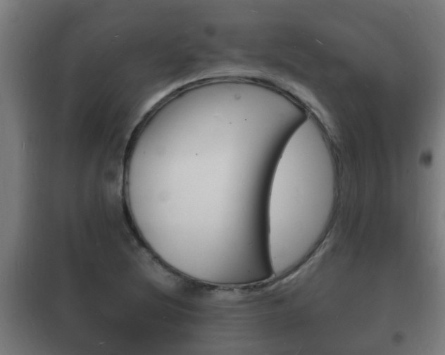 X0000102221220200807250738