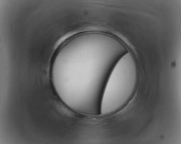 X0000102221222200807250738