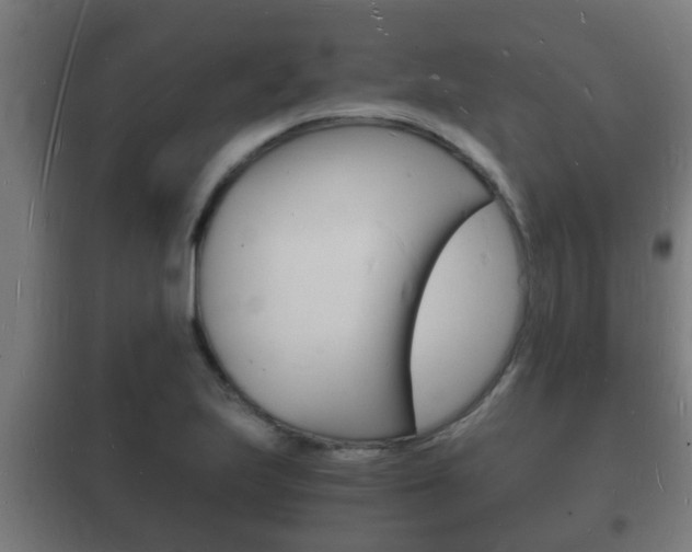 X0000102221223200807250738