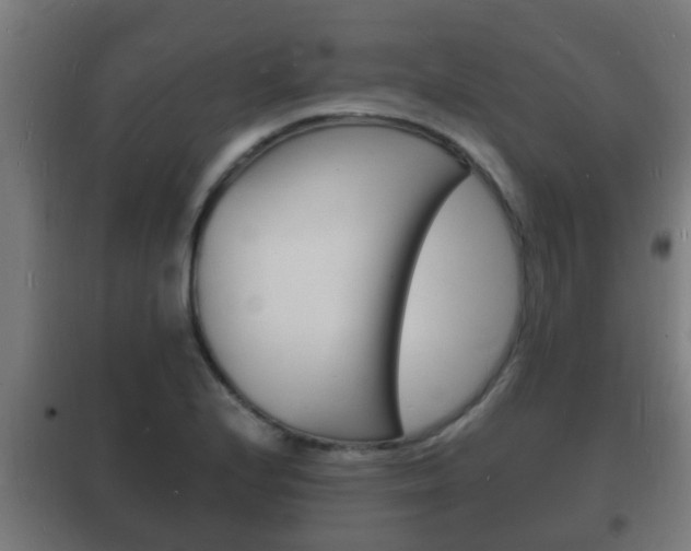 X0000102221224200807250738