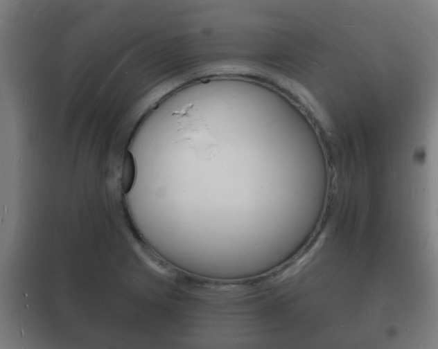 X0000102221225200807250738