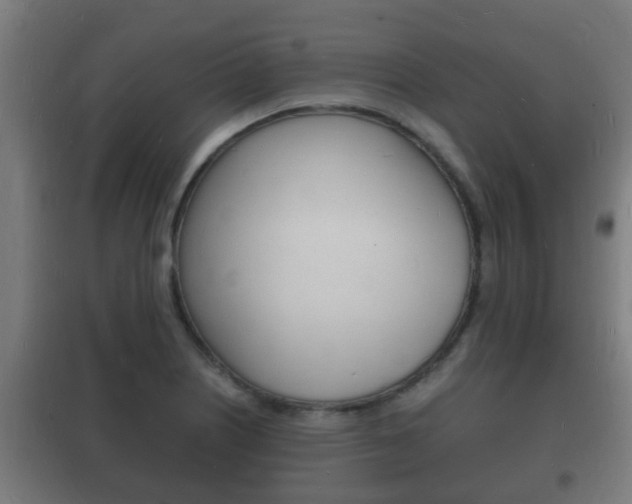 X0000102221226200807250738