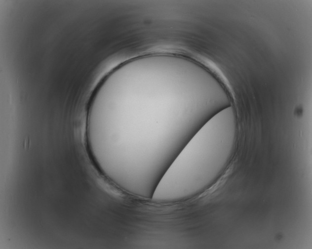 X0000102221227200807250738
