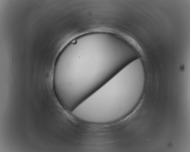 X0000102221228200807250738