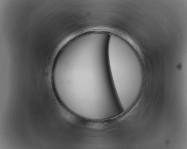 X0000102221229200807250738