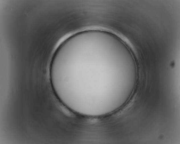 X0000102221230200807250738