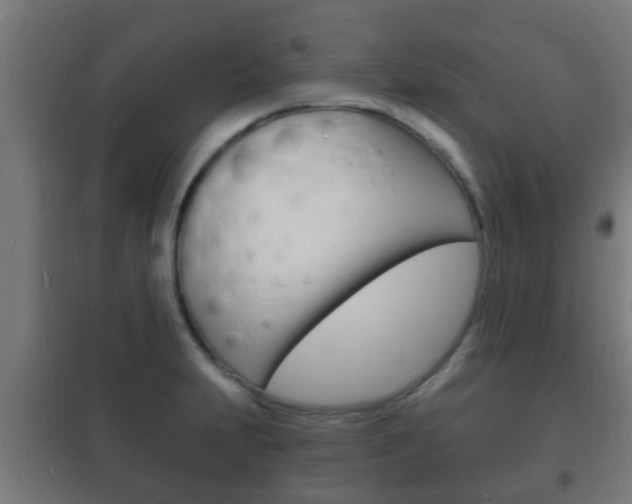 X0000102221231200807250738
