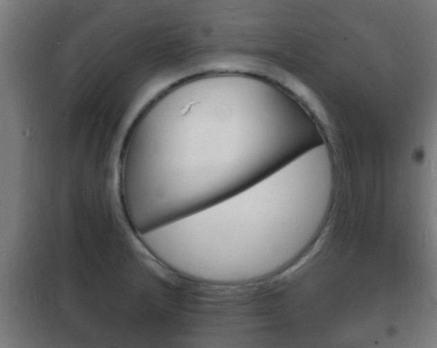 X0000102221232200807250738