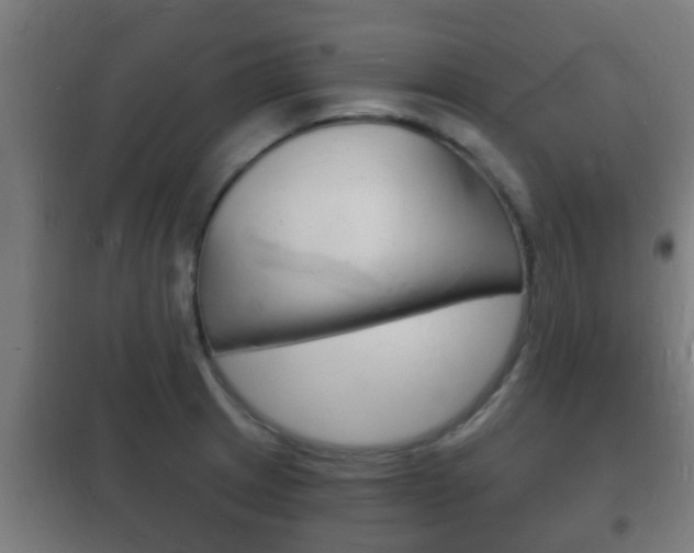 X0000102221233200807250738