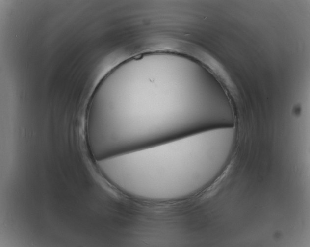 X0000102221234200807250738