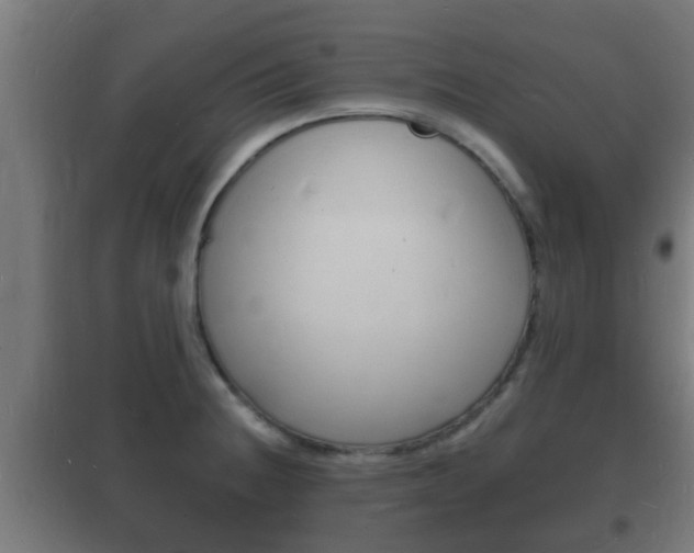X0000102221236200807250738