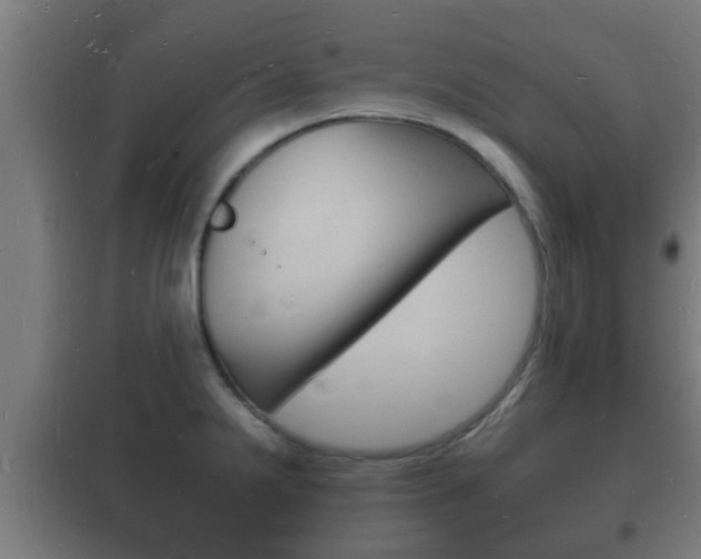 X0000102221238200807250738