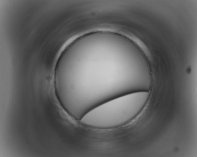 X0000102221240200807250738