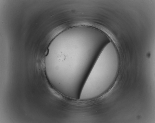 X0000102221241200807250738