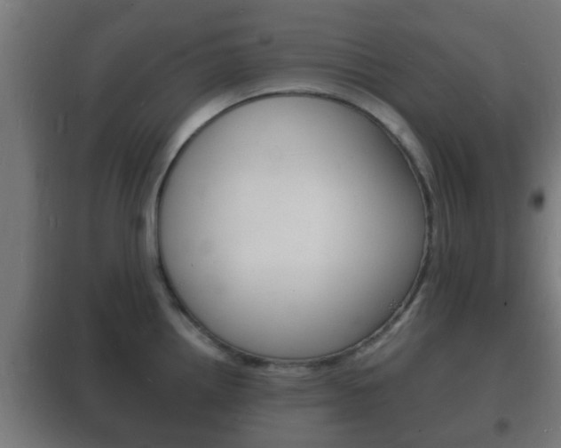 X0000102221242200807250738