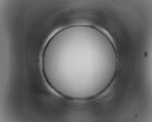 X0000102221243200807250738