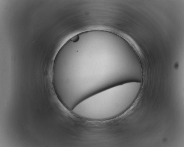 X0000102221244200807250738