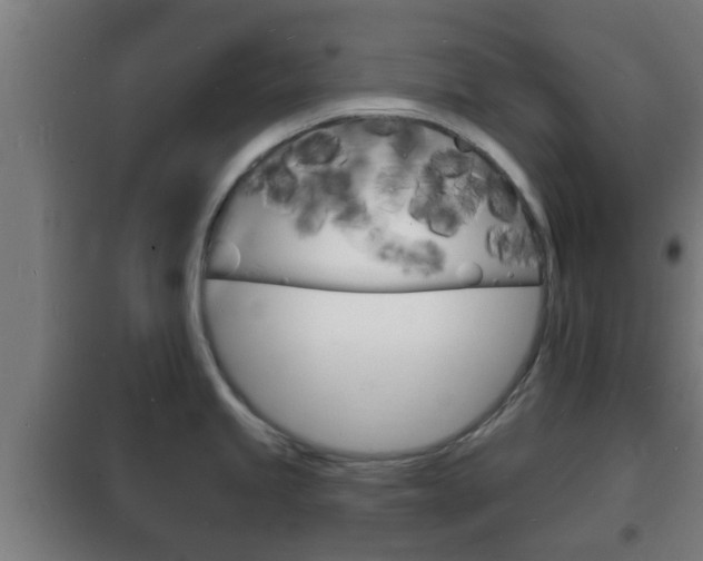 X0000102221245200807250738